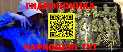 таблы Балашиха