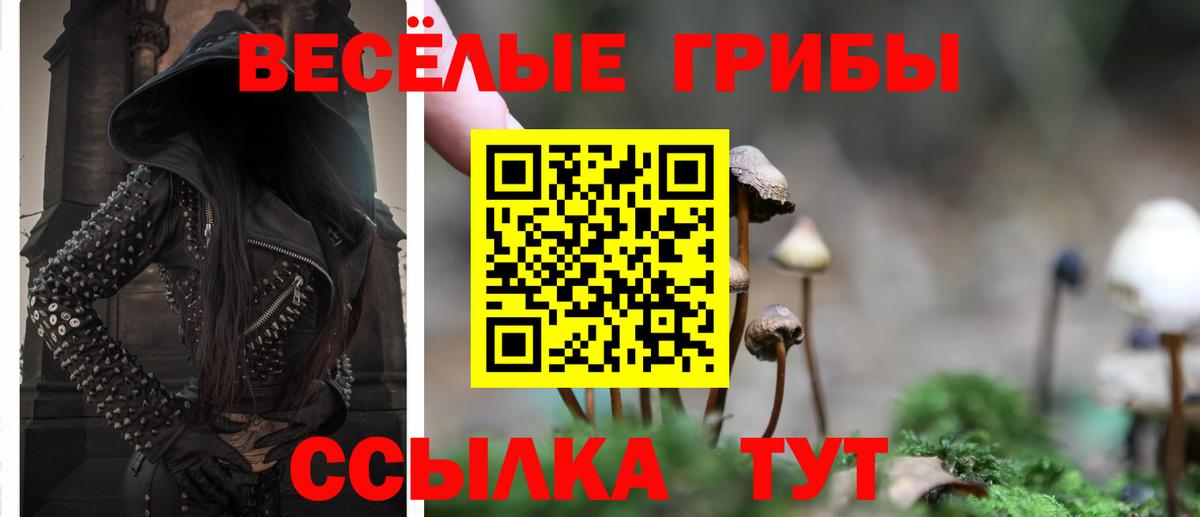 Галлюциногенные грибы Psilocybine cubensis  Вход с VPN  Галлюциногенные грибы Cubensis  Железноводск 